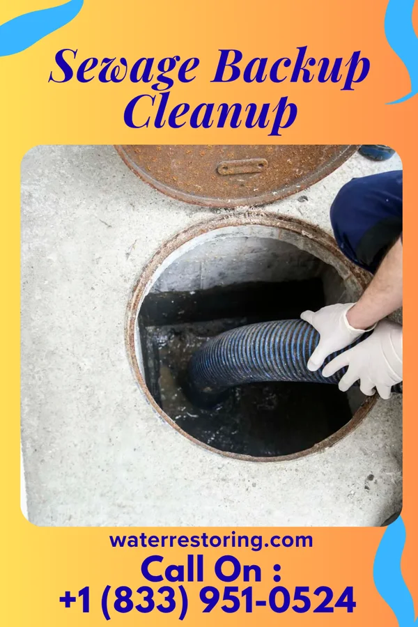 Sewage Backup Cleanup in Gnadenhutten, OH
