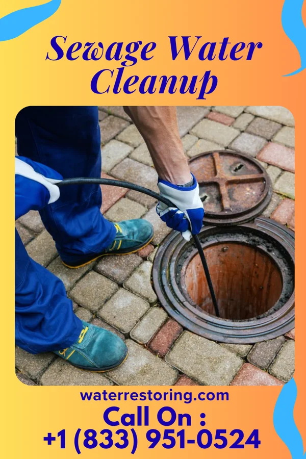 Sewage Water Cleanup in Gnadenhutten, OH