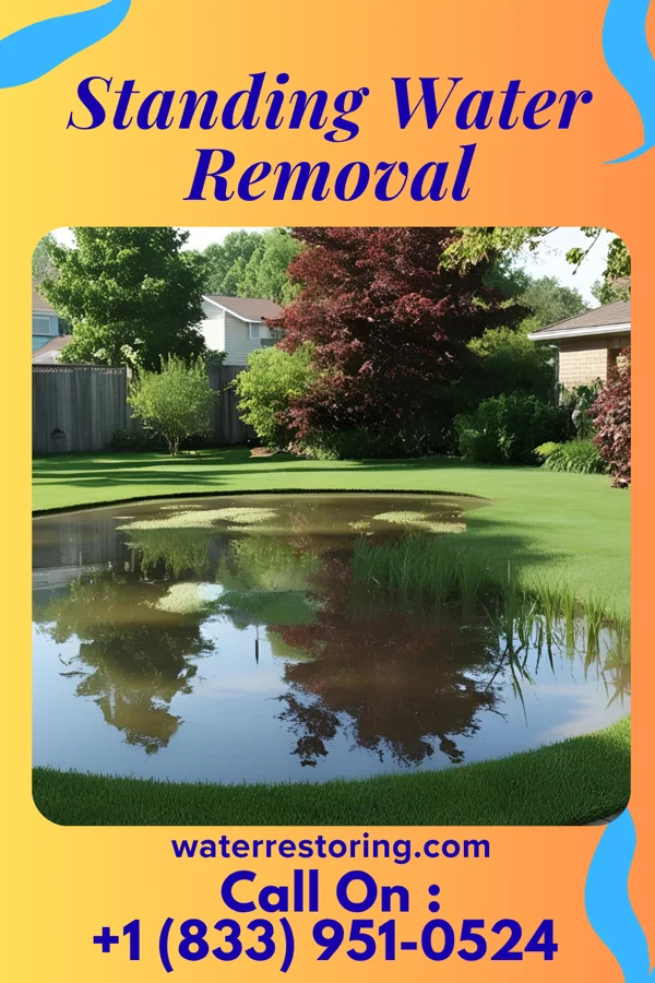 Standing Water Removal in Gnadenhutten, OH